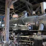 IMG_7893 (May 28, 2024)